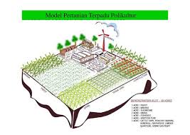 Detail Gambar Model Pertanian Terpadu Nomer 2