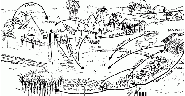 Detail Gambar Model Pertanian Terpadu Nomer 10