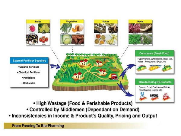 Detail Gambar Model Pertanian Terpadu Nomer 31