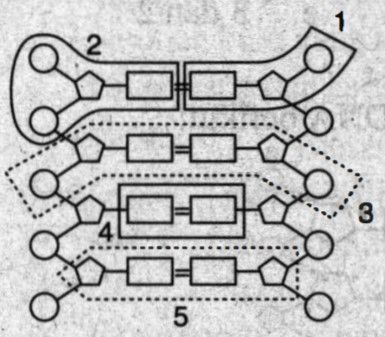 Detail Gambar Molekul Dna Nomer 22