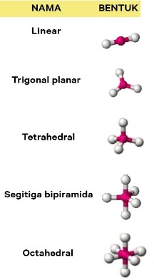 Detail Gambar Molekul Tetrahedron Nomer 18