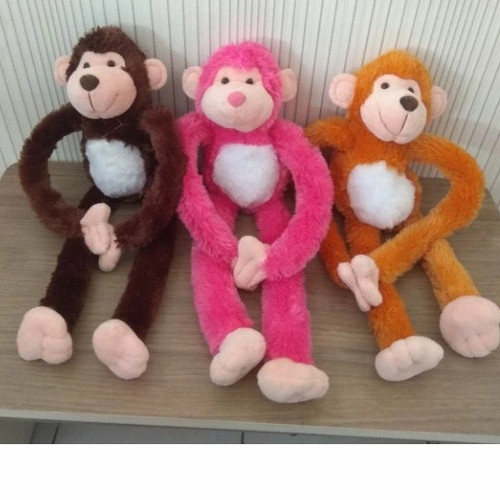 Detail Gambar Monkey Lucu Nomer 29