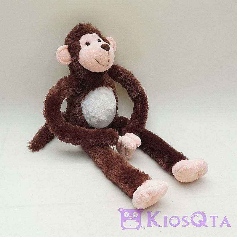 Detail Gambar Monkey Lucu Nomer 56