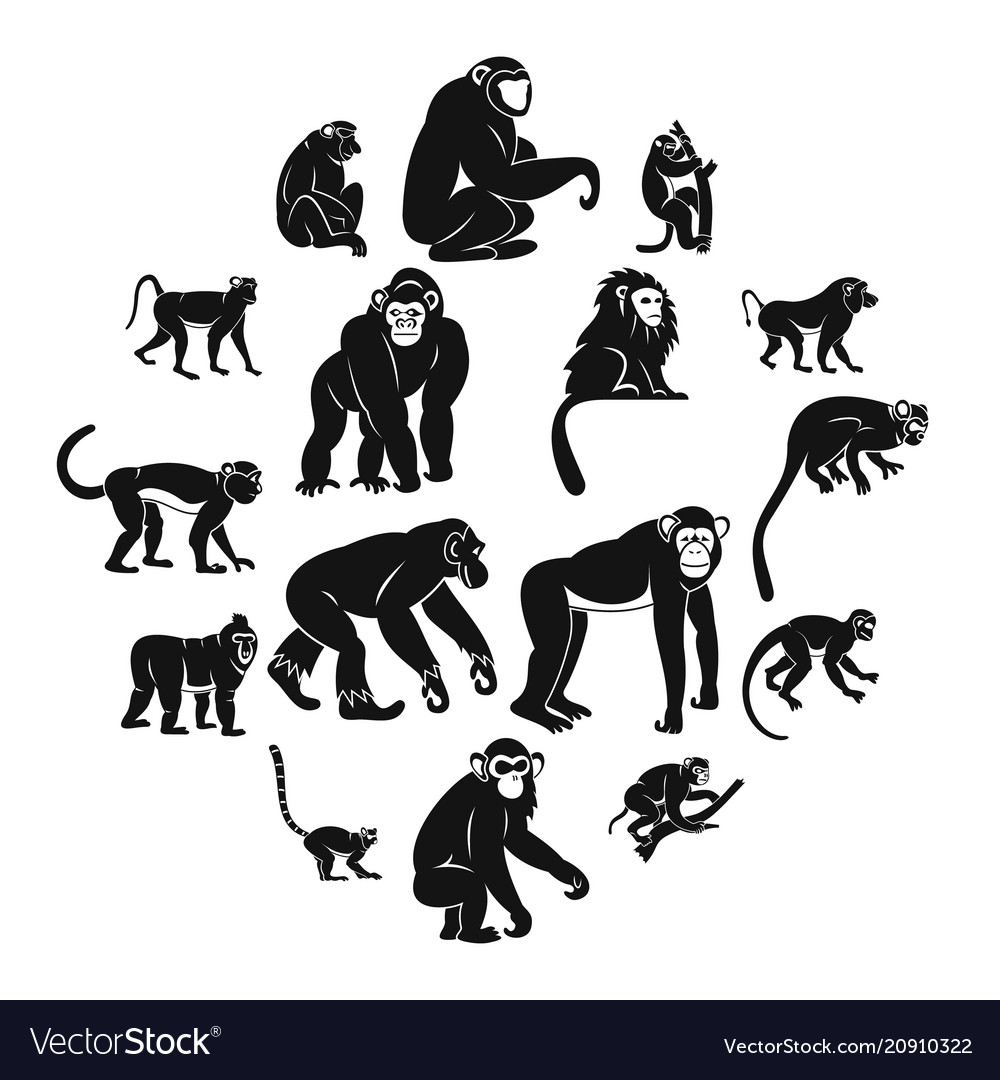 Detail Gambar Monkey Style Nomer 45