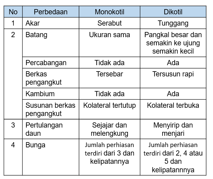 Detail Gambar Monokotil Dan Dikotil Nomer 47