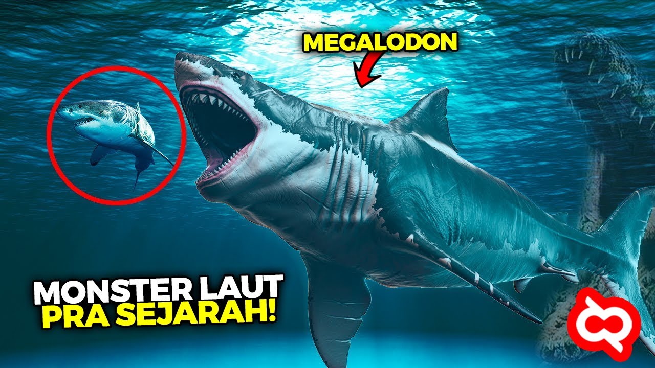 Detail Gambar Monster Laut Nomer 33