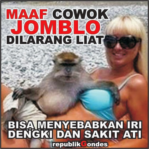 Detail Gambar Monyet Dan Anjing Gambar Monyet Gokil Nomer 12