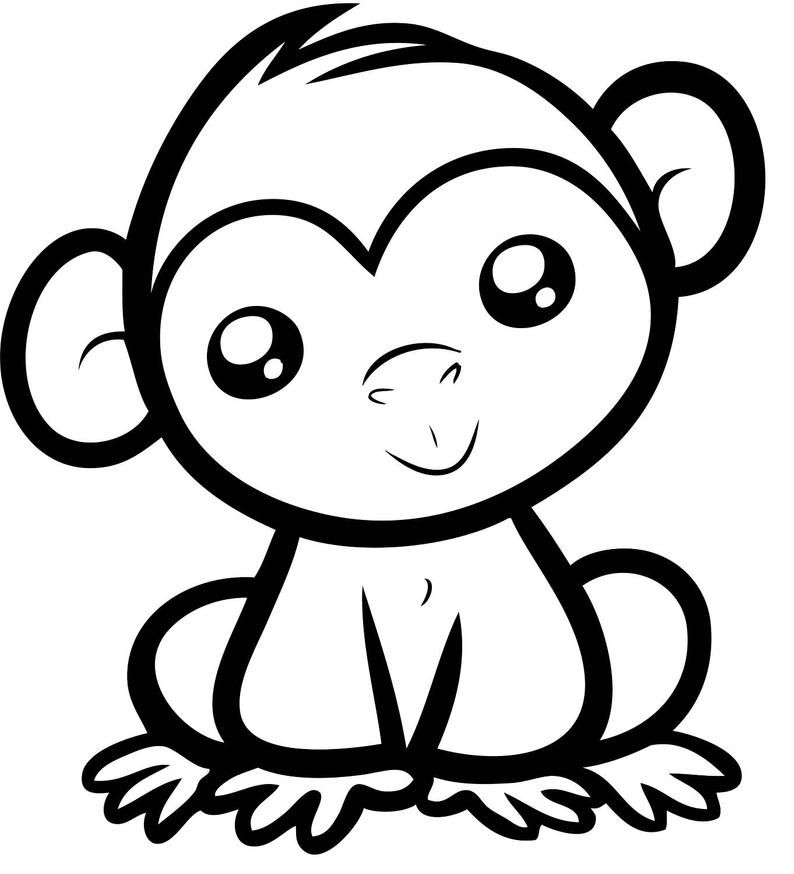 Detail Gambar Monyet Hitam Putih Nomer 11
