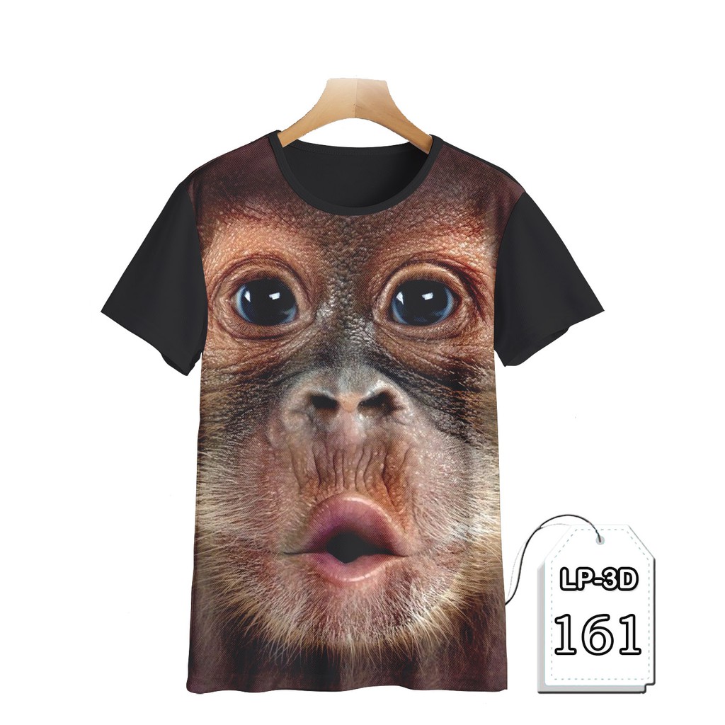 Detail Gambar Monyet Lucu Nomer 56