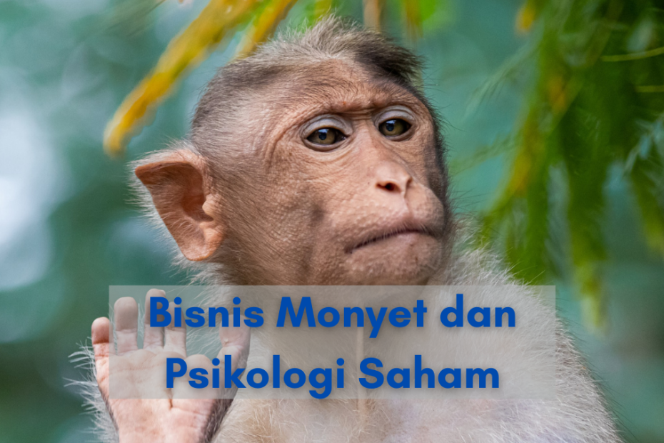 Download Gambar Monyet Pusing Nomer 25