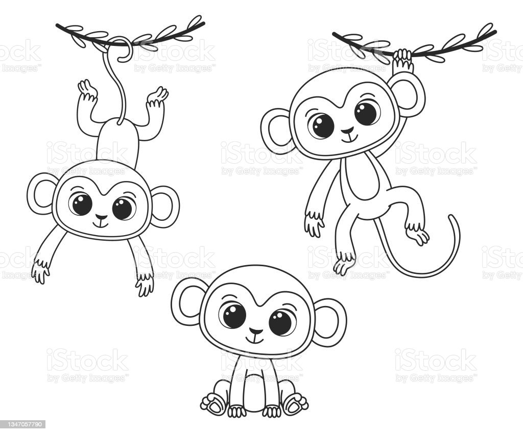 Detail Gambar Monyet Untuk Mewarnai Nomer 33