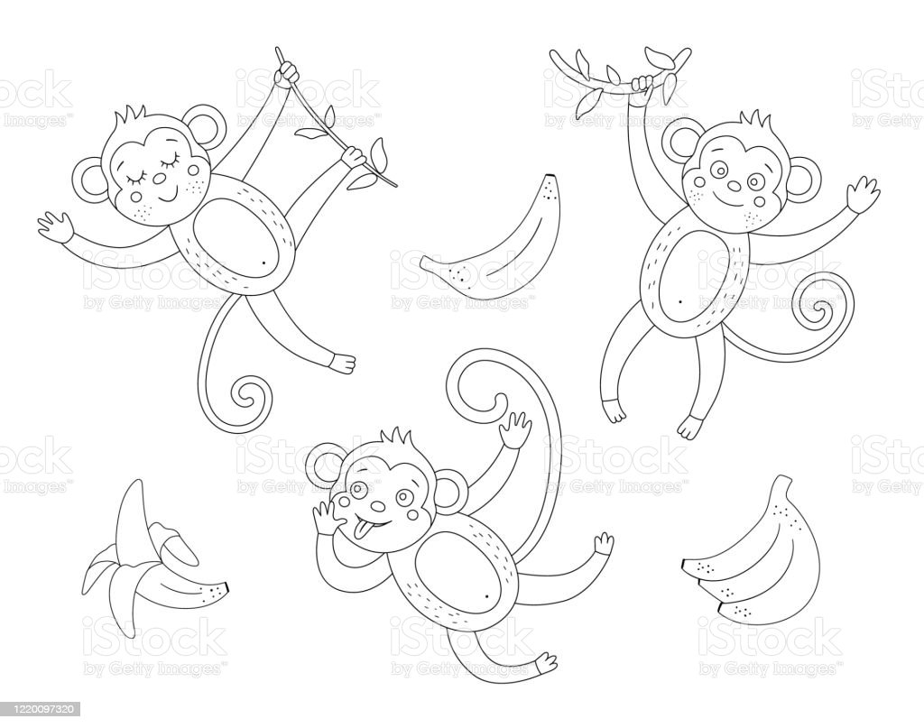 Detail Gambar Monyet Untuk Mewarnai Nomer 55