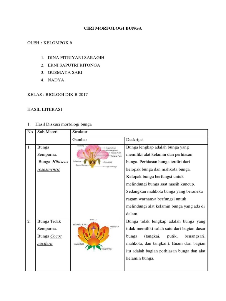 Detail Gambar Morfologi Bunga Sempurna Nomer 27