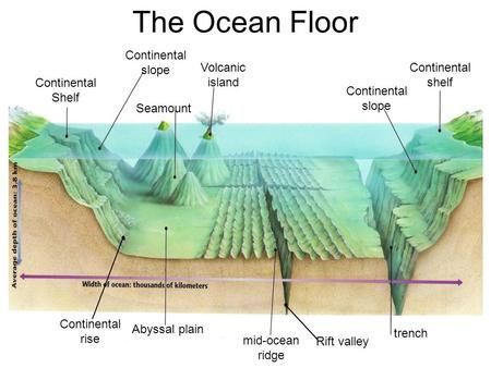 Detail Gambar Morfologi Dasar Laut Nomer 14