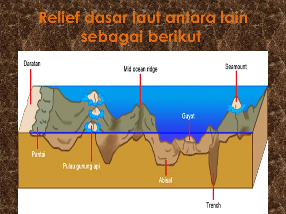 Detail Gambar Morfologi Dasar Laut Nomer 16