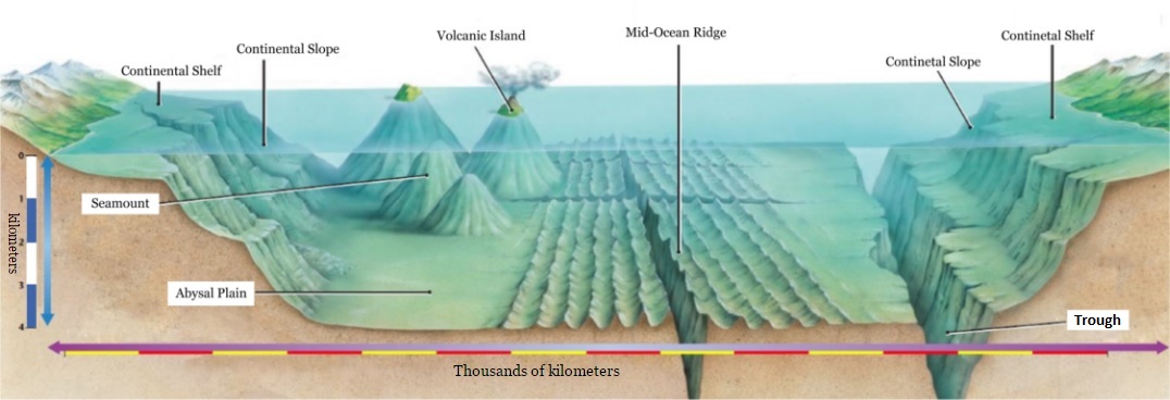 Detail Gambar Morfologi Dasar Laut Nomer 3