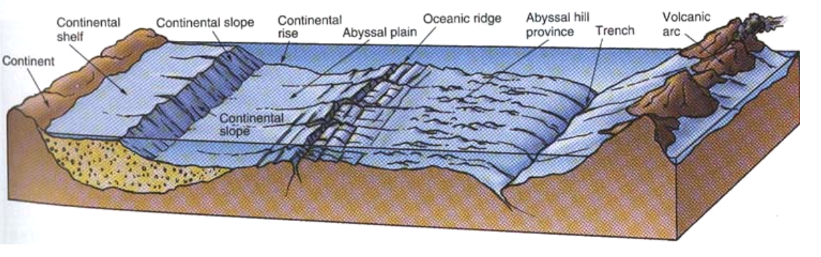 Detail Gambar Morfologi Dasar Laut Nomer 20