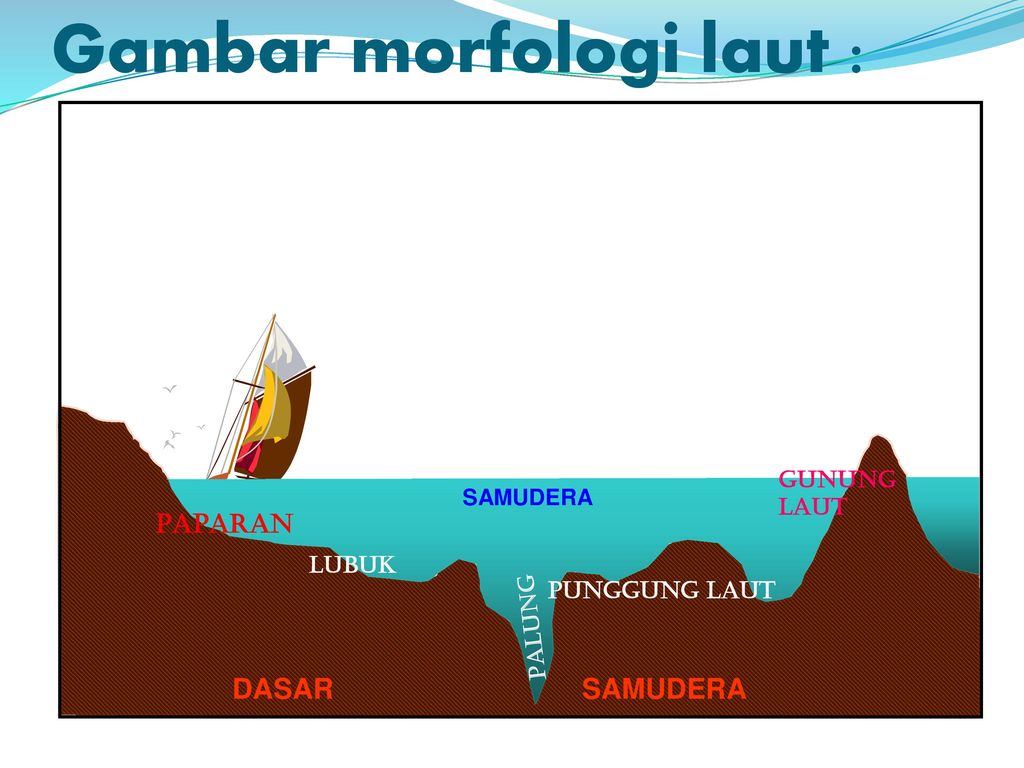 Detail Gambar Morfologi Dasar Laut Nomer 33