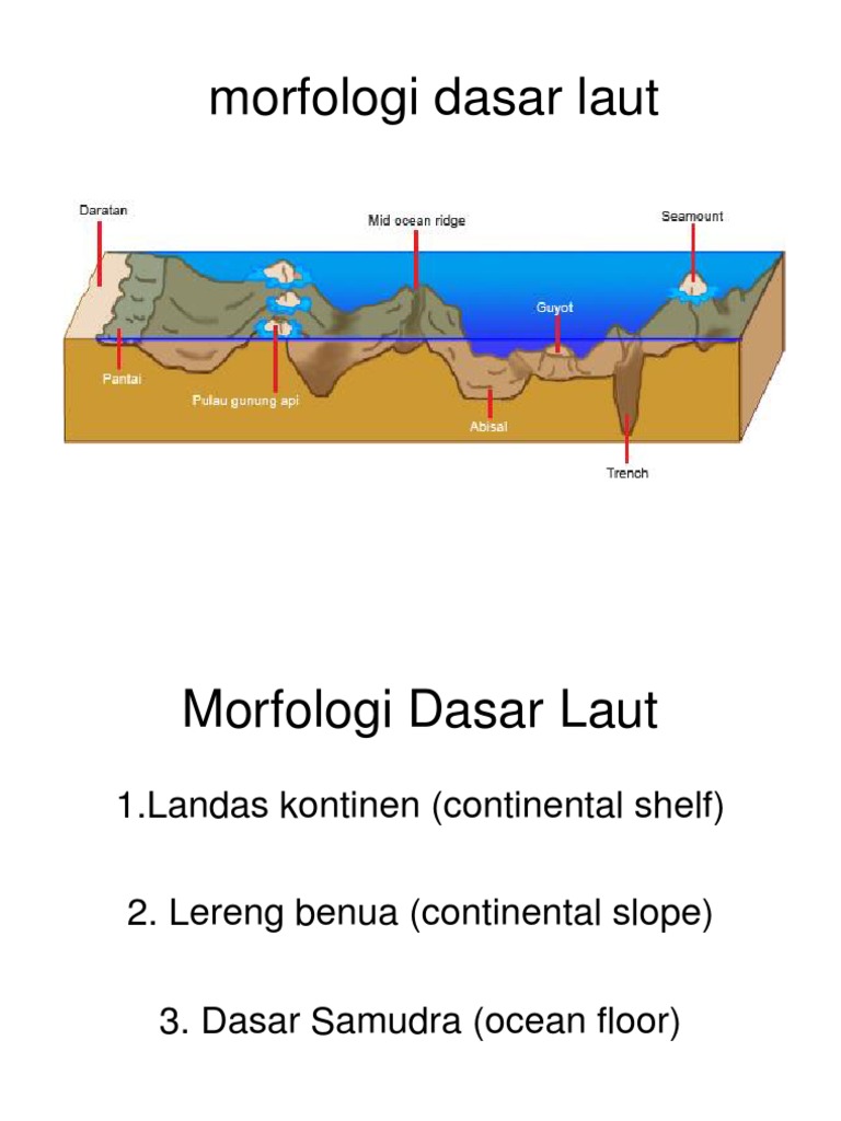 Detail Gambar Morfologi Dasar Laut Nomer 37