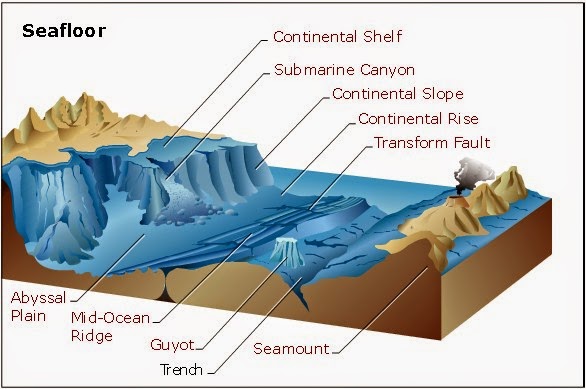 Detail Gambar Morfologi Dasar Laut Nomer 8