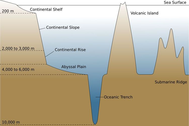 Detail Gambar Morfologi Dasar Laut Nomer 10