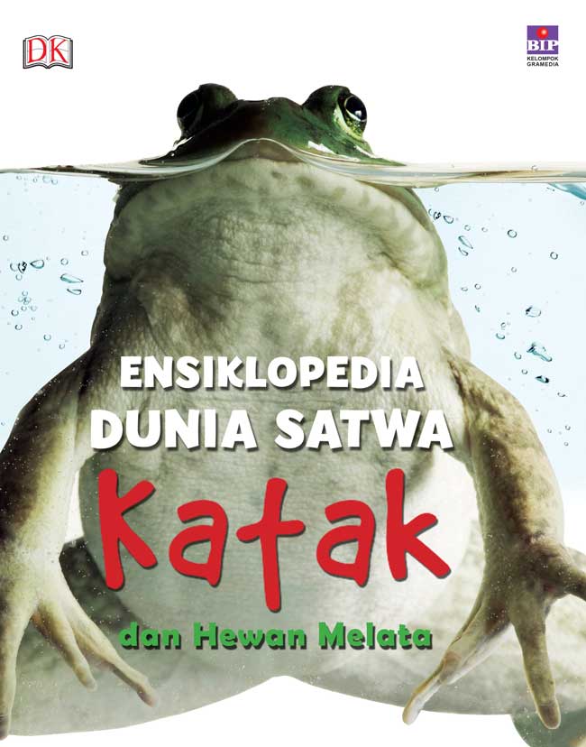 Detail Gambar Morfologi Katak Lengkap Nomer 28