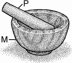 Detail Gambar Mortar Nomer 45