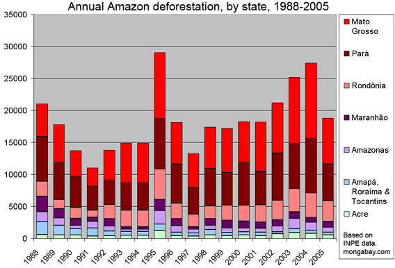 Amazon Rainforest Climate Graph