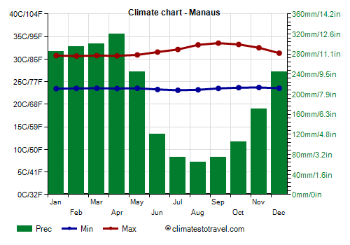 Detail Amazon Rainforest Climate Graph Nomer 6