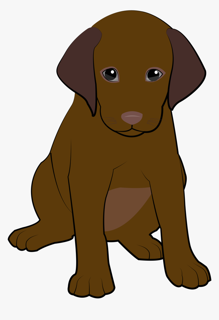 Detail Brown Labrador Nomer 5