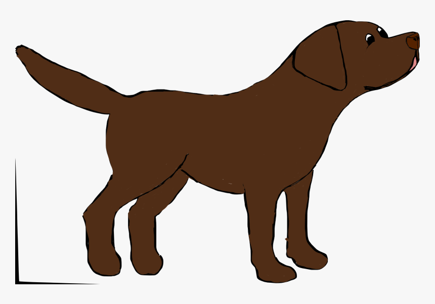 Detail Brown Labrador Nomer 6