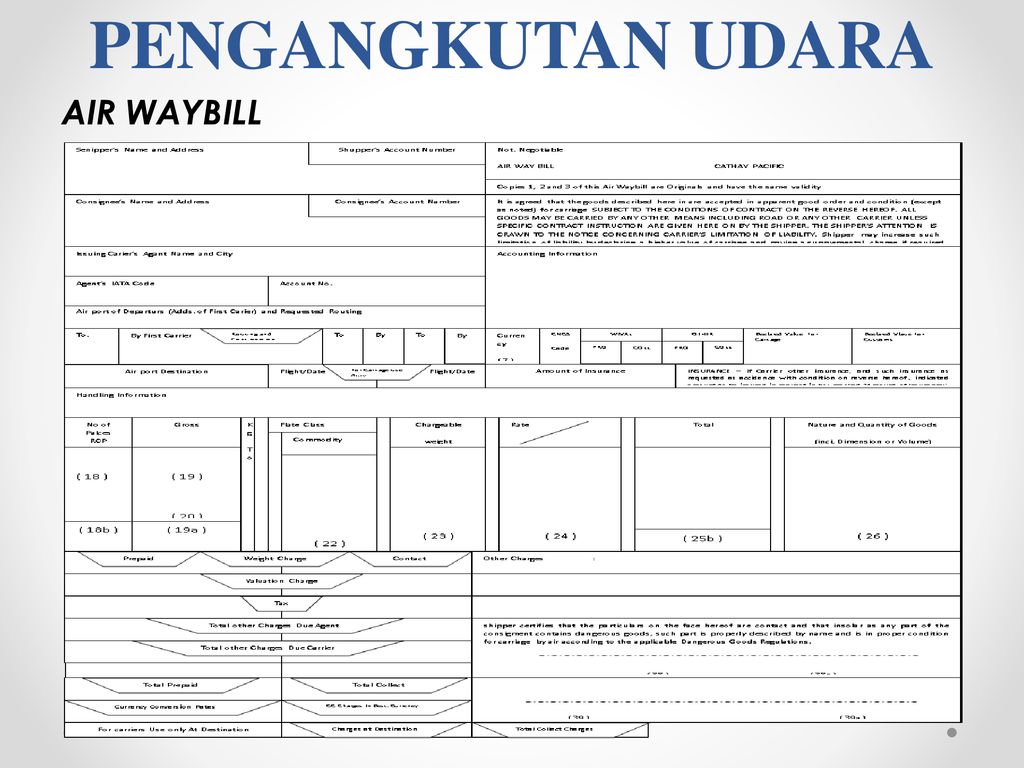 Detail Contoh Surat Muatan Udara Nomer 17