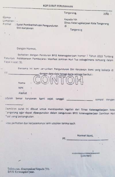 Detail Contoh Surat Pemberitahuan Pengunduran Diri Nomer 25