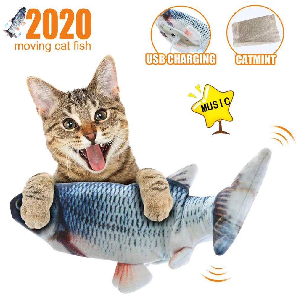 Detail Fischkatze Kaufen Nomer 6