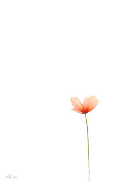 Handy Blume Fantasie Hintergrundbilder - KibrisPDR
