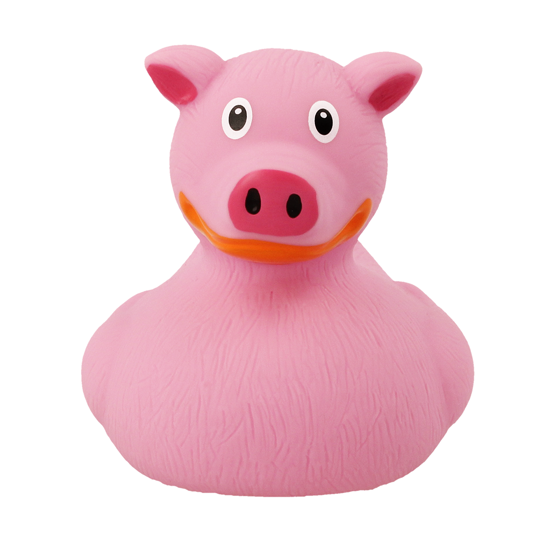 Detail Schweine Bilder Nomer 10