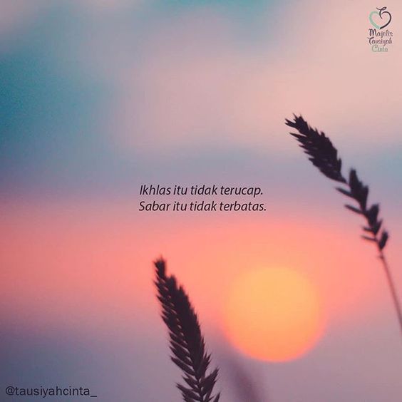 Detail Gambar Motivasi Hidup Quotes About Life Nomer 29