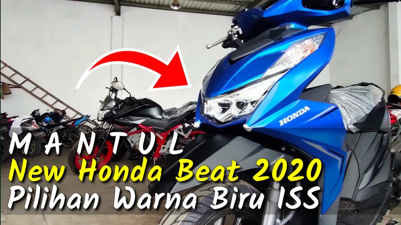 Detail Gambar Motor Beat Biru Nomer 51