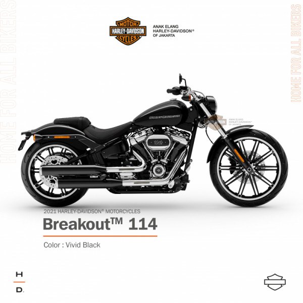 Detail Gambar Motor Harley Davidson Nomer 16