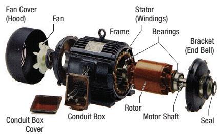 Detail Gambar Motor Induksi 3 Fasa Nomer 16