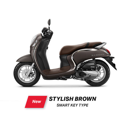 Detail Gambar Motor Scoopy Stylish Nomer 2