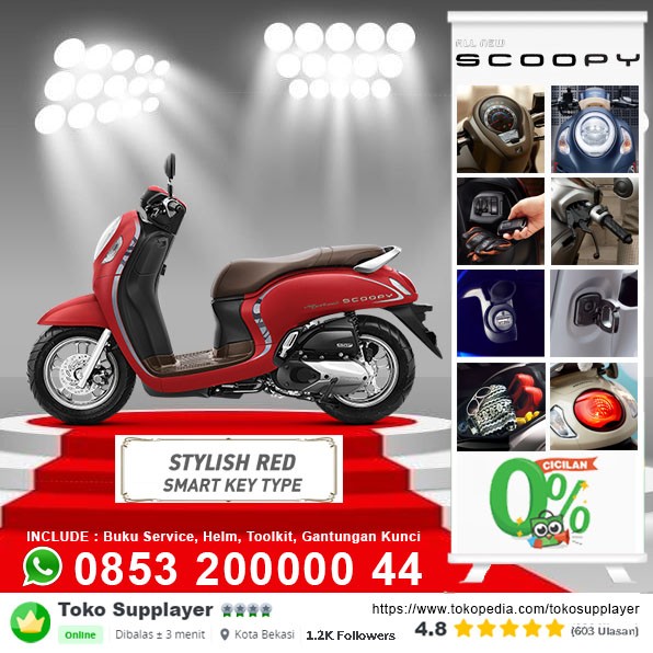 Detail Gambar Motor Scoopy Stylish Nomer 20