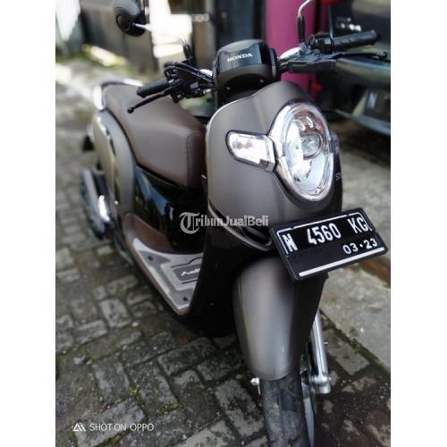 Detail Gambar Motor Scoopy Stylish Nomer 23