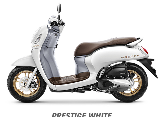 Detail Gambar Motor Scoopy Stylish Nomer 9