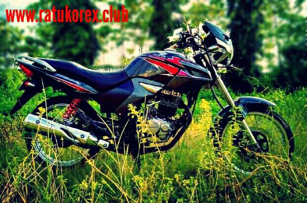 Detail Gambar Motor Tiger Nomer 13