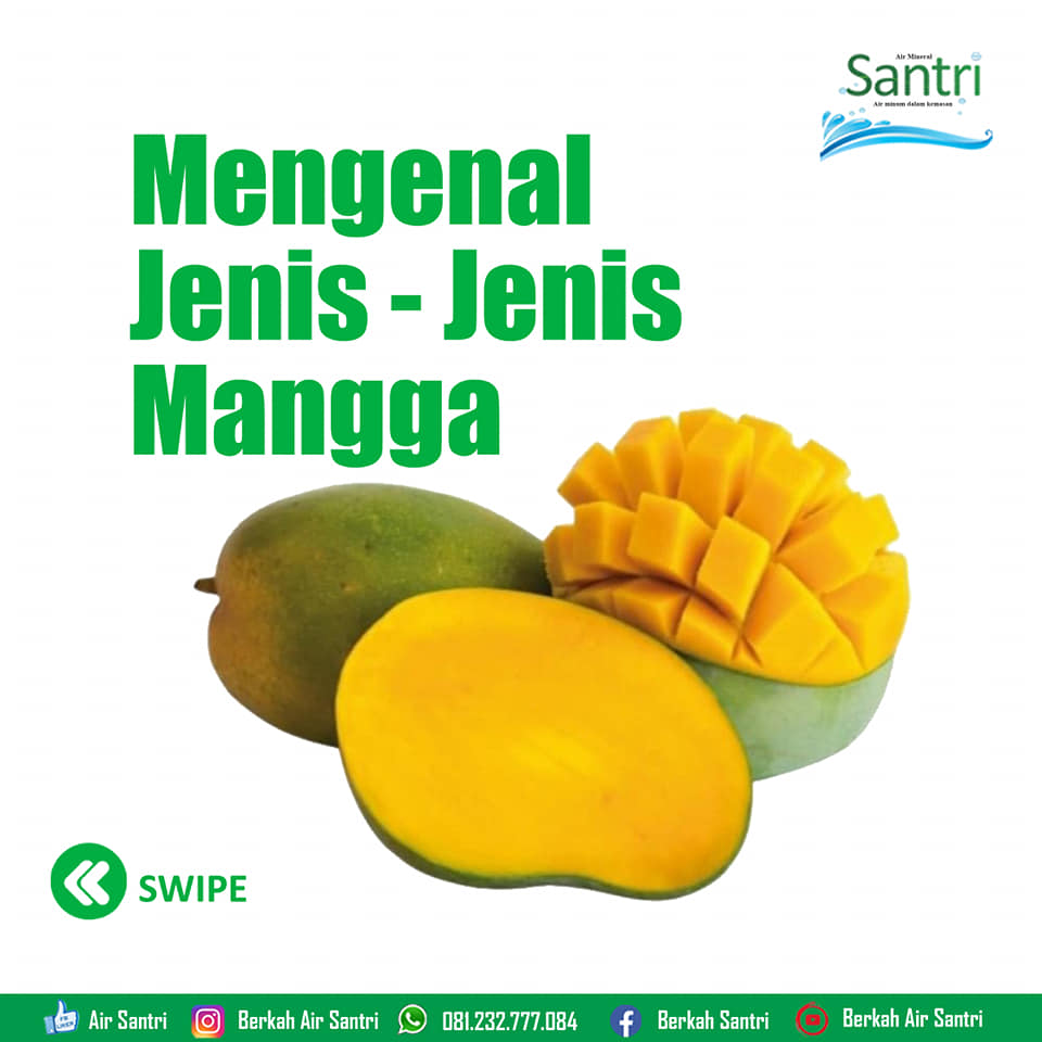 Detail Gambar Mozaik Buah Mangga Nomer 50