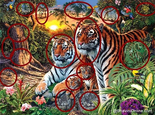 Detail Gambar Muka Harimau Nomer 13