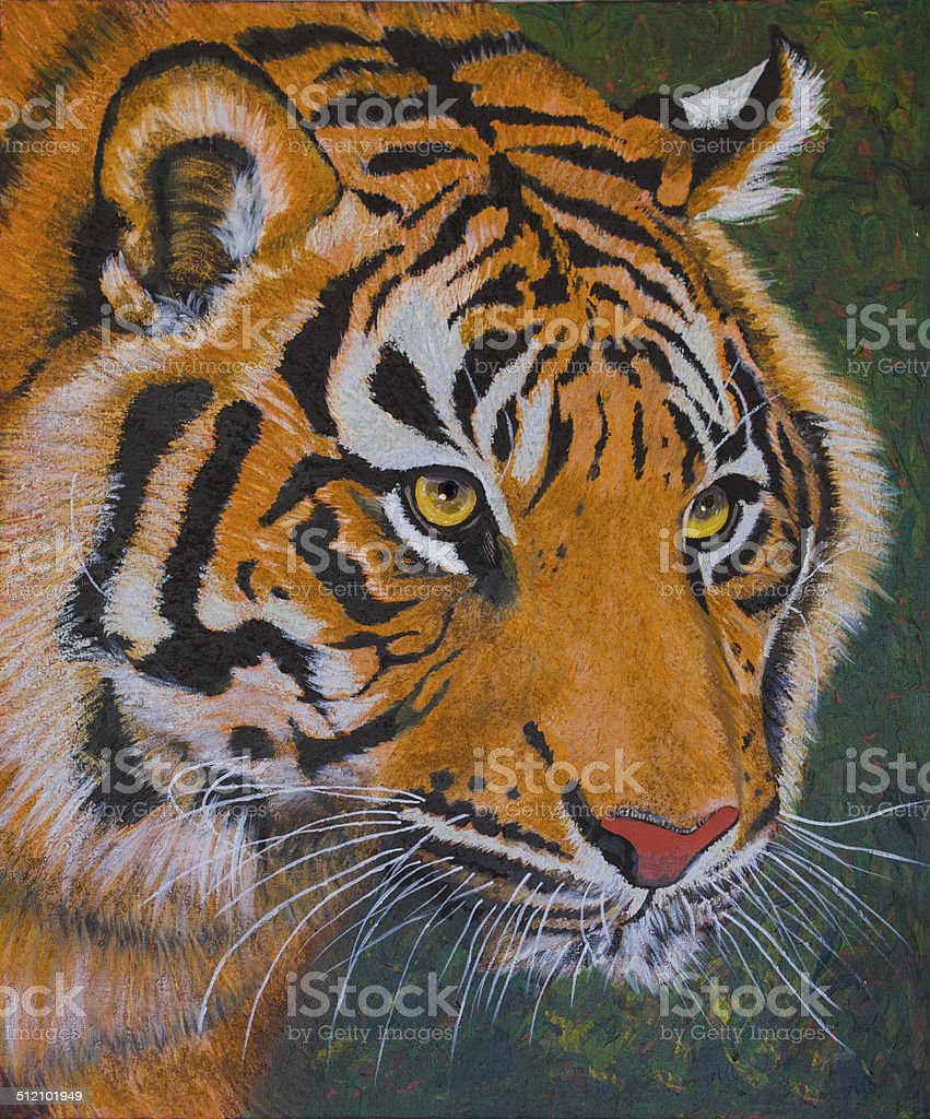 Detail Gambar Muka Harimau Nomer 14