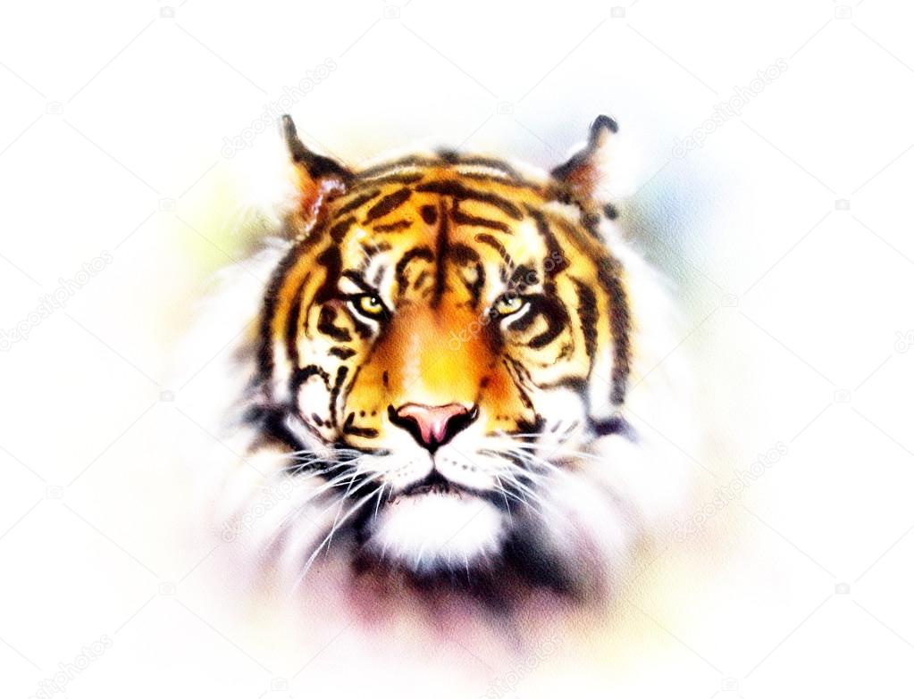 Detail Gambar Muka Harimau Nomer 21