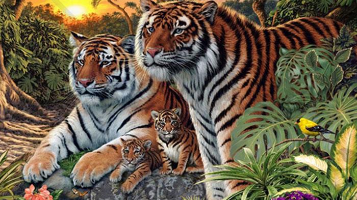 Detail Gambar Muka Harimau Nomer 5